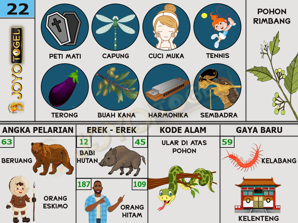 buku mimpi papatogel erek erek togel 22